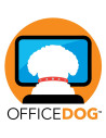 Office Dog